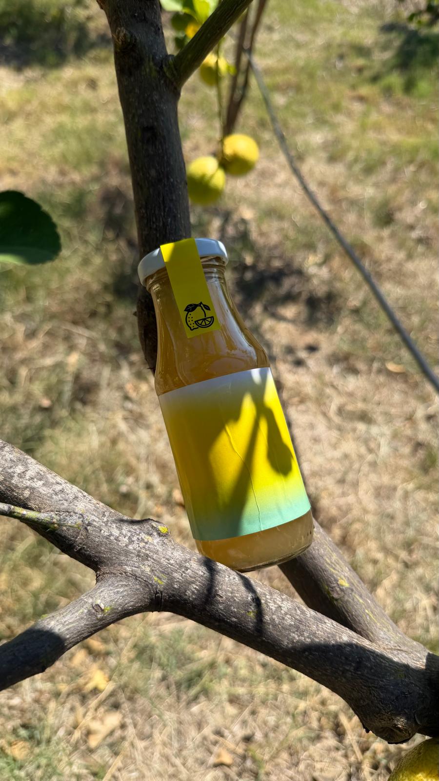 Limonata Bio - immagine 2